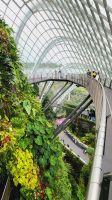Rundreise Neuseeland - Cloud Forest Dome im Gardens by the Bay in Singapur