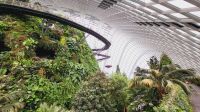 Rundreise Neuseeland - Cloud Forest Dome im Gardens by the Bay in Singapur