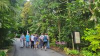 Rundreise Neuseeland - Botanischer Garten in Singapur