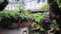 Rundreise Neuseeland - Botanischer Garten in Singapur