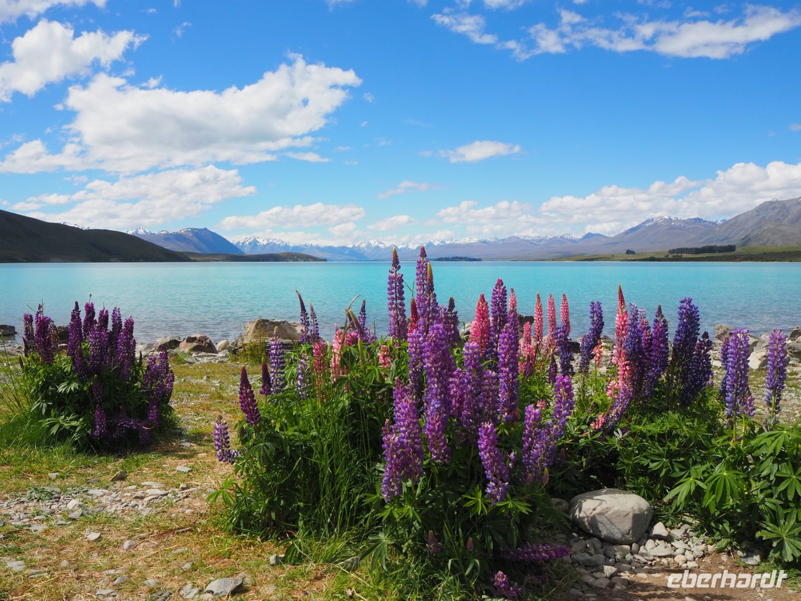 Lake Tekapo