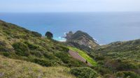 Rundreise Neuseeland - heiliger Weihnachtsbaum an der Spirits Bay am Cape Reinga