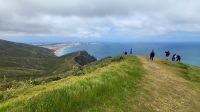 Rundreise Neuseeland - Ausflug zum Cape Reinga