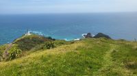Rundreise Neuseeland - Cape Reinga
