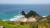 Rundreise Neuseeland - heiliger Weihnachtsbaum an der Spirits Bay am Cape Reinga