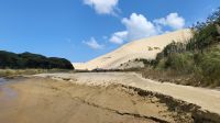 Rundreise Neuseeland - Sanddünen