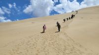 Rundreise Neuseeland - Boarden auf den Sanddünen