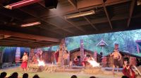 Rundreise Neuseeland - Hangi-Abendessen mit Maori-Show
