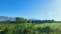 Rundreise Neuseeland - Blick zum Mount Ruapehu