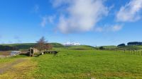 Rundreise Neuseeland - Blick zum Ruapehu