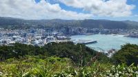 Rundreise Neuseeland - Aussicht auf Wellington