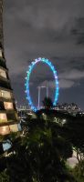 11 Singapore Flyer