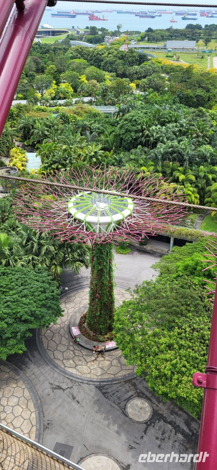 24 Supertrees vom Supertree aus gesehen