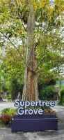 26 Supertree Park