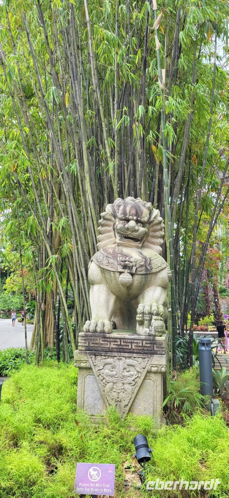 27 Löwen als gutes Ohmen