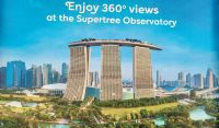 29 Marina Bay Sands Hotel 