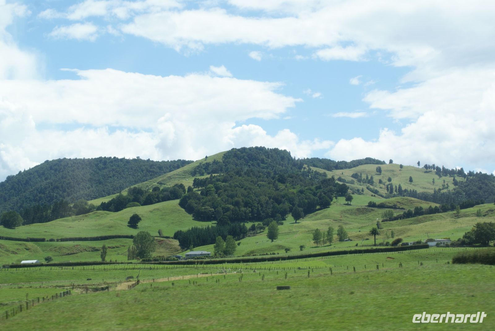70 Coromandel Halbinsel