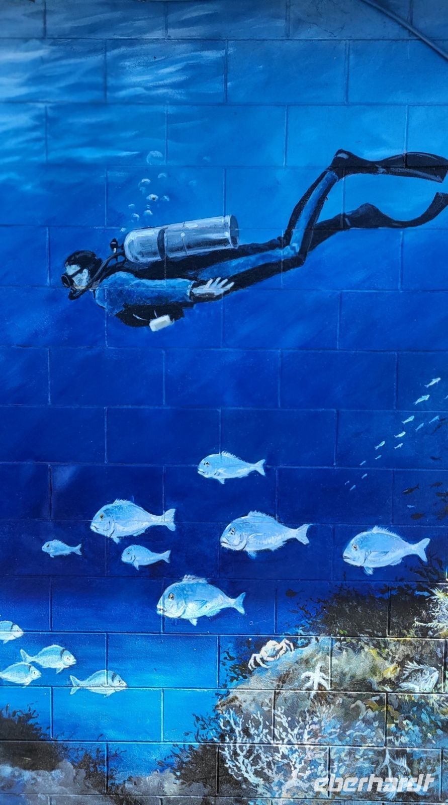 97 Kunst in Whitianga