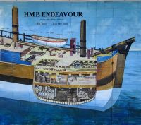 99 Kunst in Whitianga