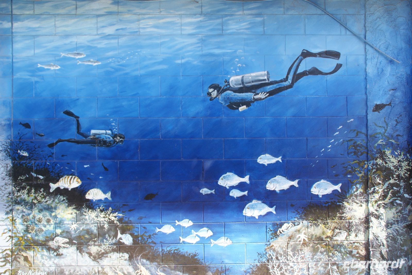 102Kunst in Whitianga