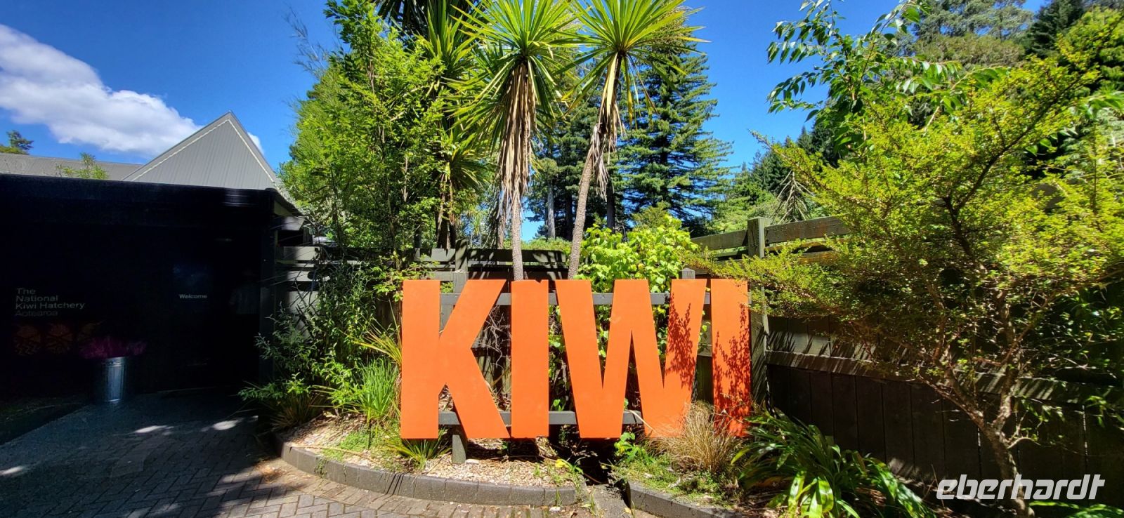 107 Kiwi Aufzuchtstation