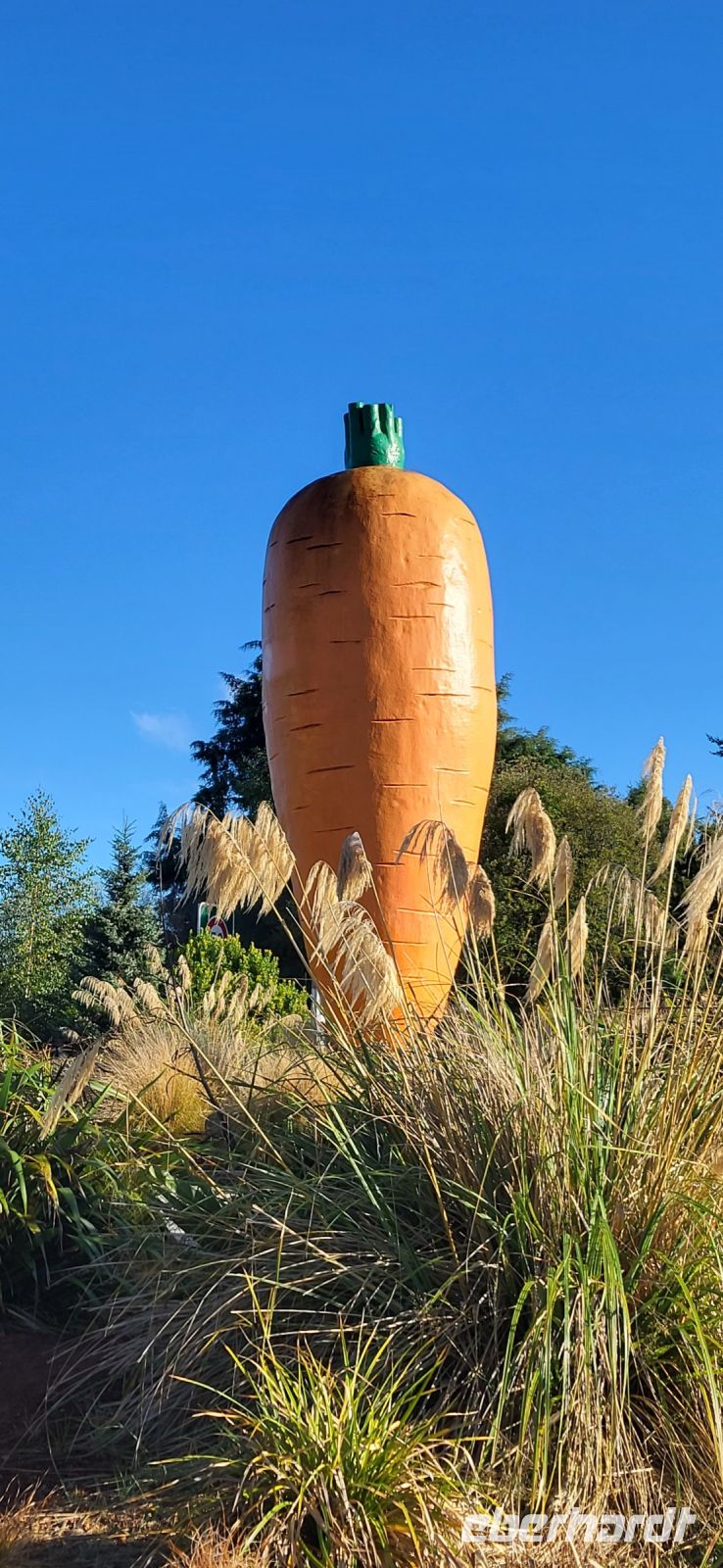 152 Ohakune die Möhrenstadt