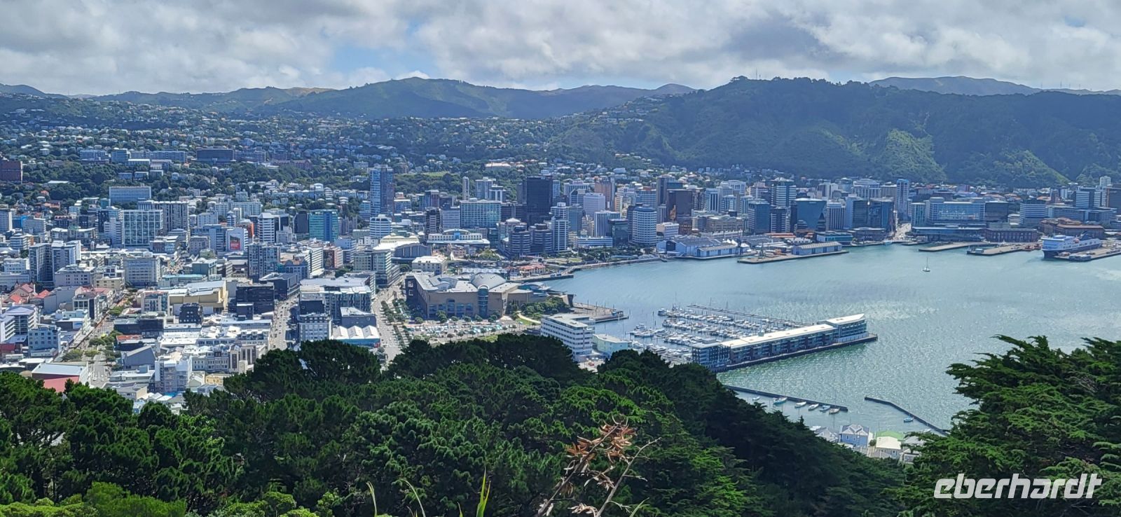 162 Blick von Mount Victoria über Wellington