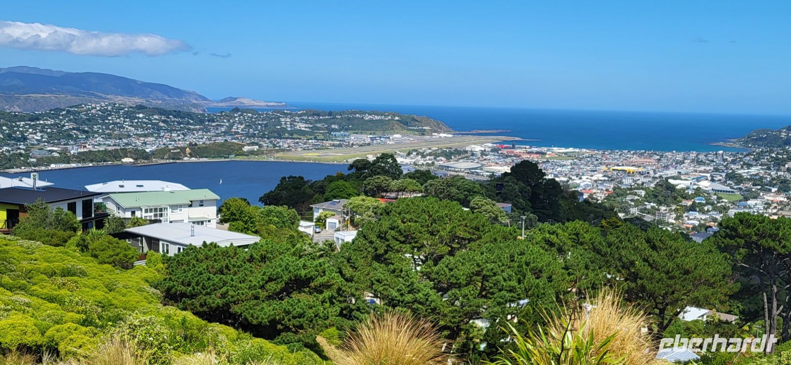 163 Blick von Mount Victoria über Wellington