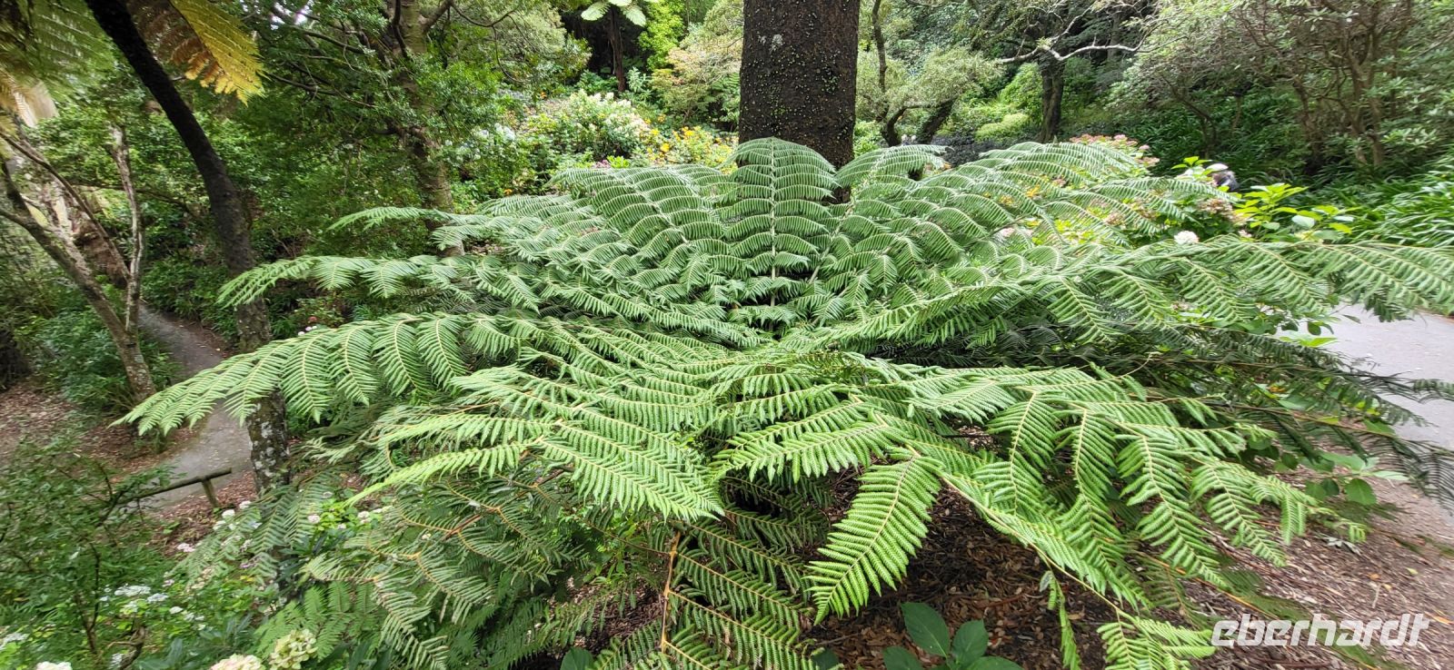 167 Botanischer Garten Wellington
