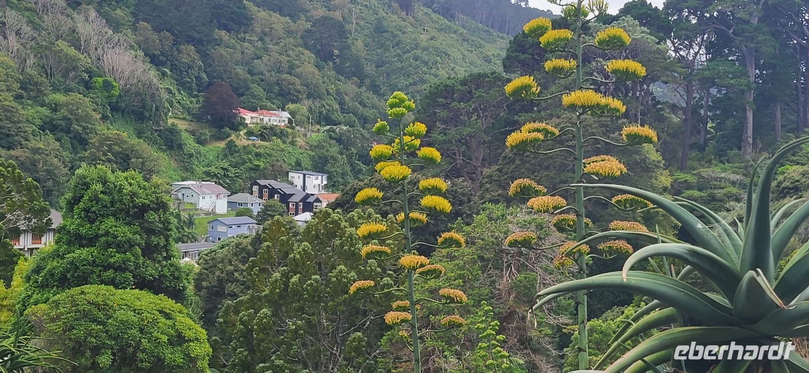 168 Botanischer Garten Wellington