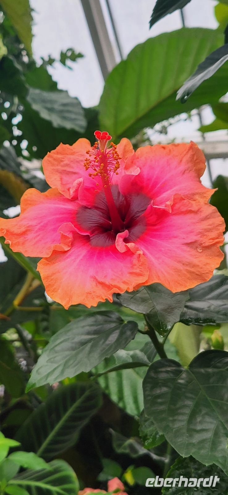 170 Botanischer Garten Wellington