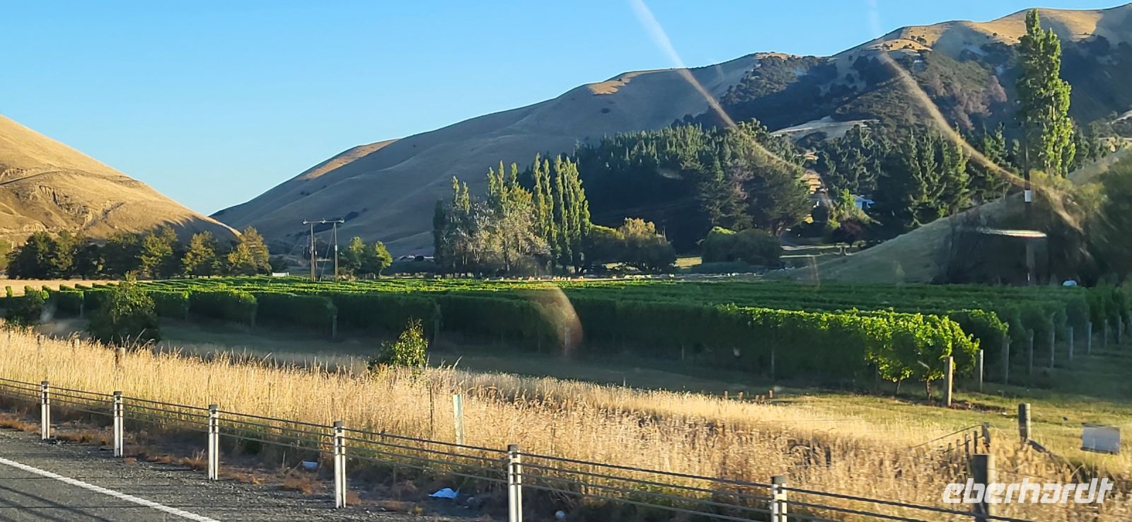 185 Weingegend Südinsel