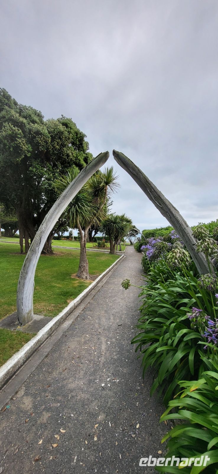193 Walknochen in Kaikoura