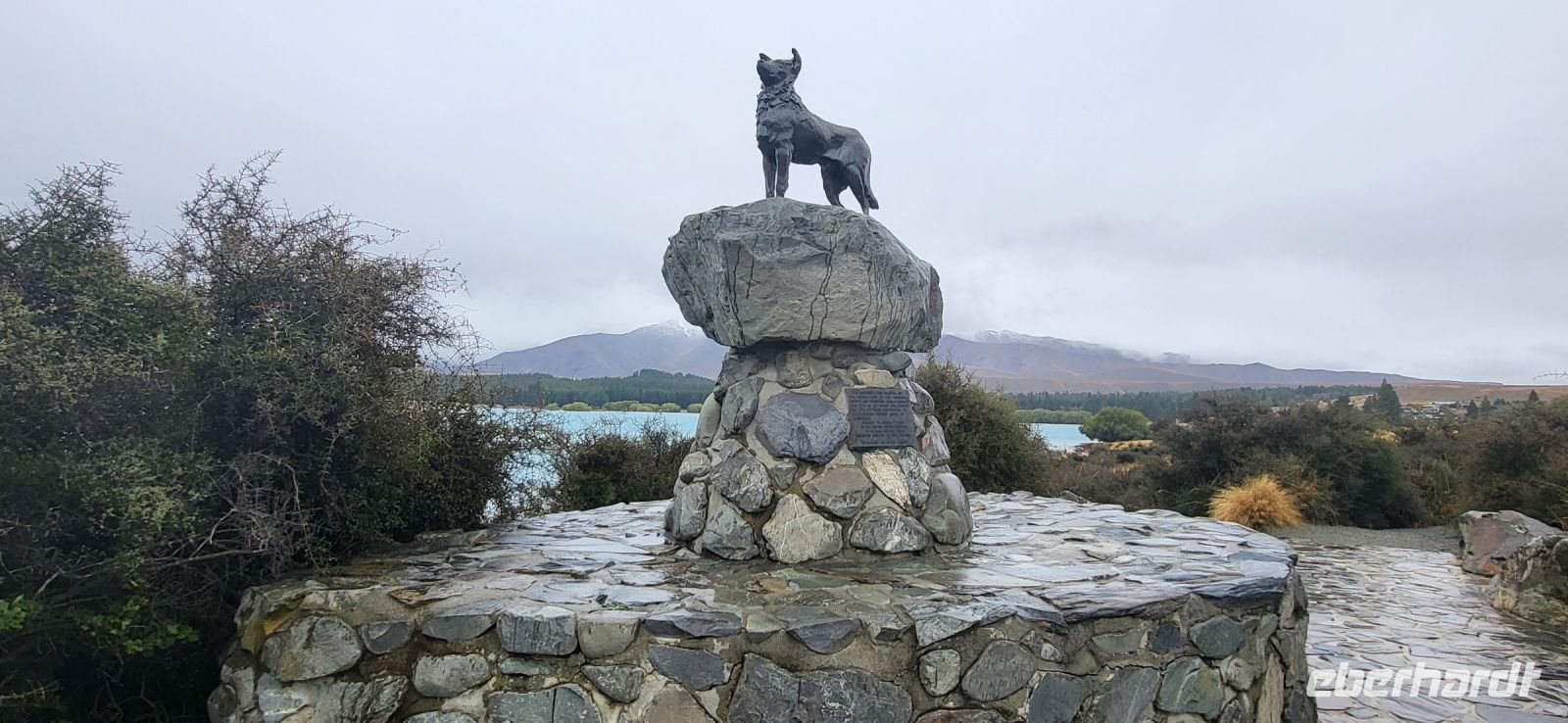 196 Hirtenhund am Lake Tekapo