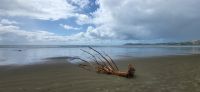 212 Strand Moeraki Boulders