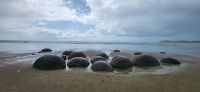 214 Strand Moeraki Boulders
