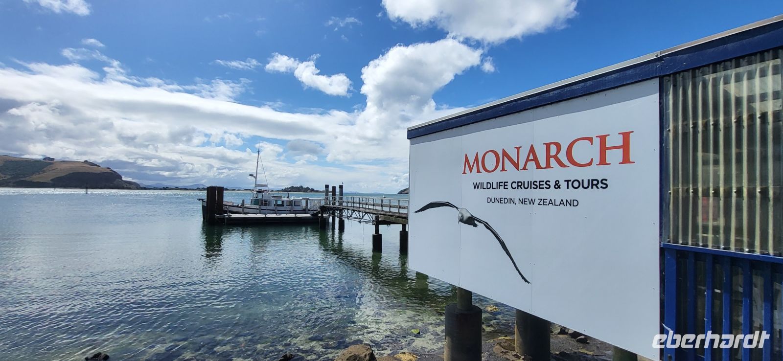 227 auf zu den Albatrossen