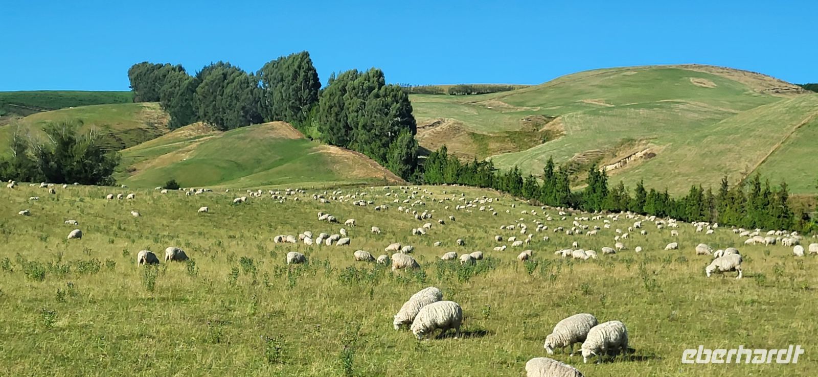 234 Impressionen Südinsel