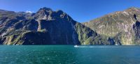 254 Impressionen Milford Sound