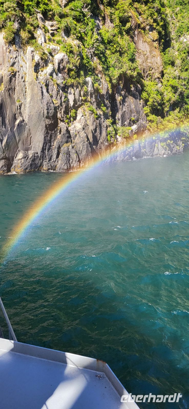 256  Impressionen Milford Sound