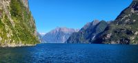 257 Impressionen Milford Sound