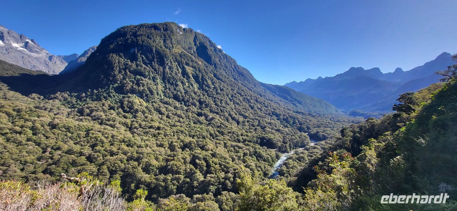 273 bewaldete Täler Neuseelands