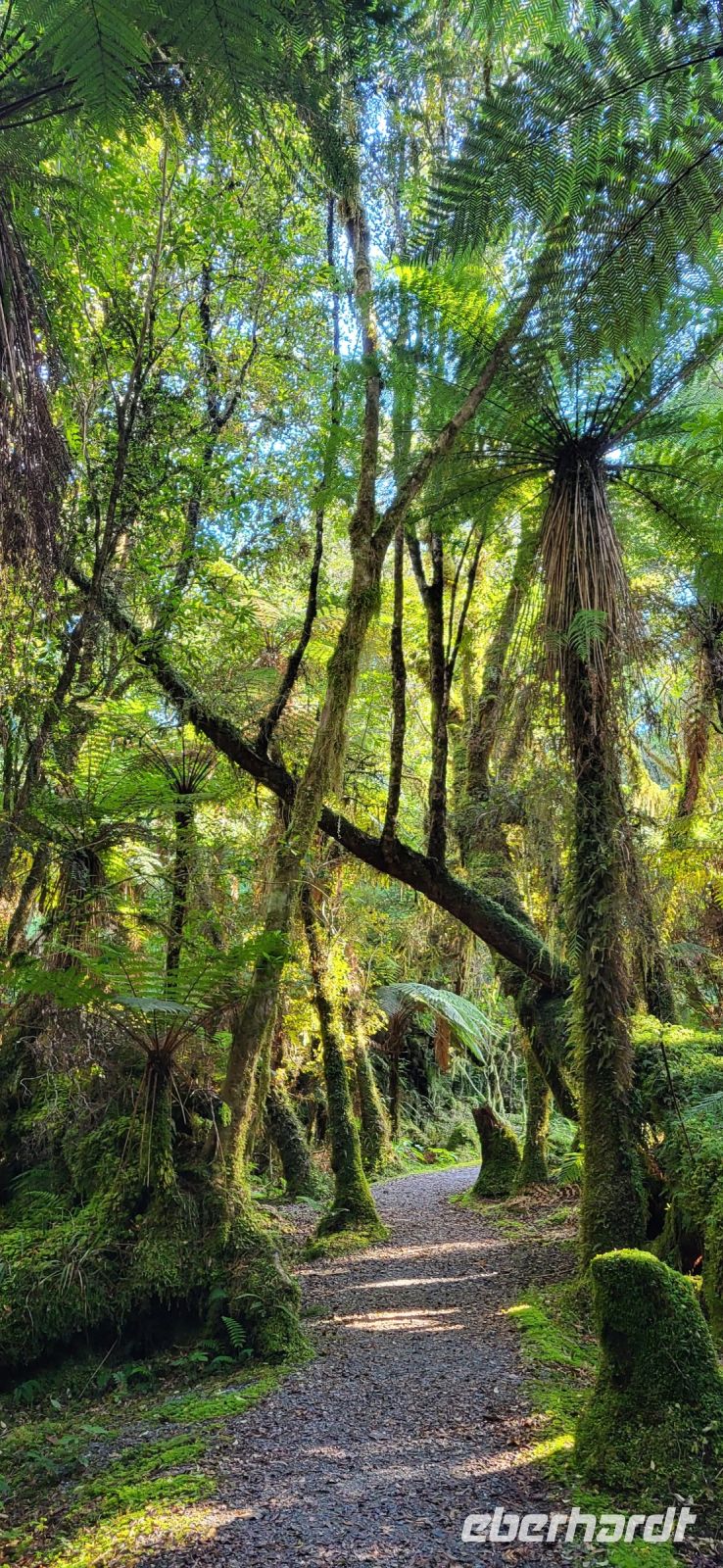 332 Glacier Valley Walk