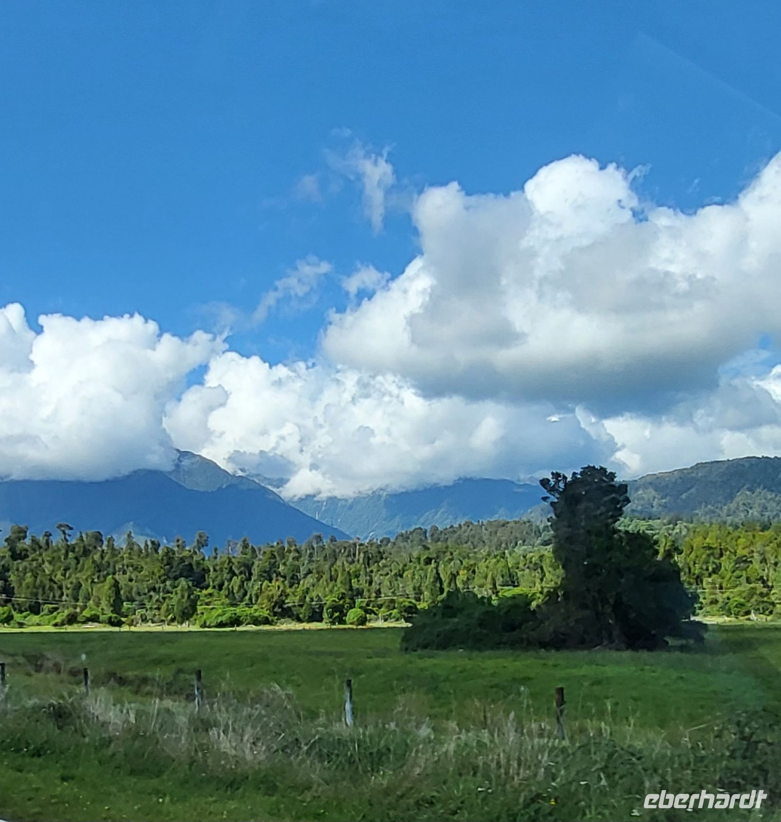 345 Südwestküste NZ