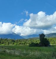 345 Südwestküste NZ