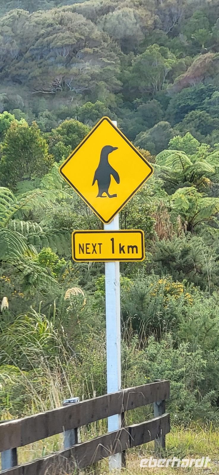 357 Achtung Pinguine