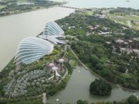 Gardens by the Bay