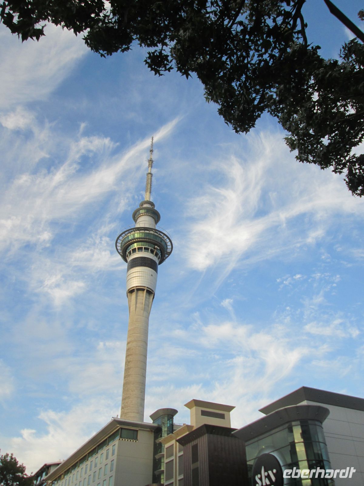 Skytower in Auckland