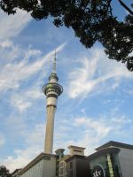 Skytower in Auckland