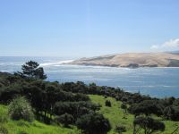 Bucht von Hokianga